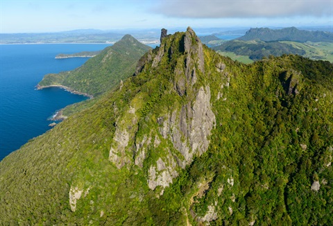 Picture of the summit of Bream Head, Whangārei harbour and surrounding landscapes. 