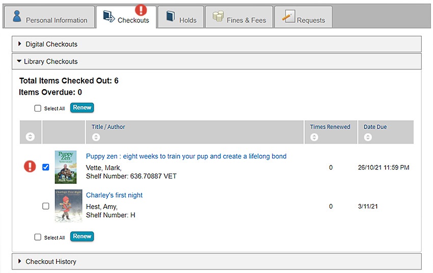 Image showing library loans in my account checkouts tab. 
