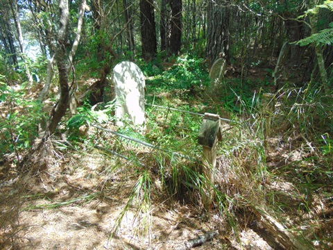 Ngunguru-2-OC8.jpg