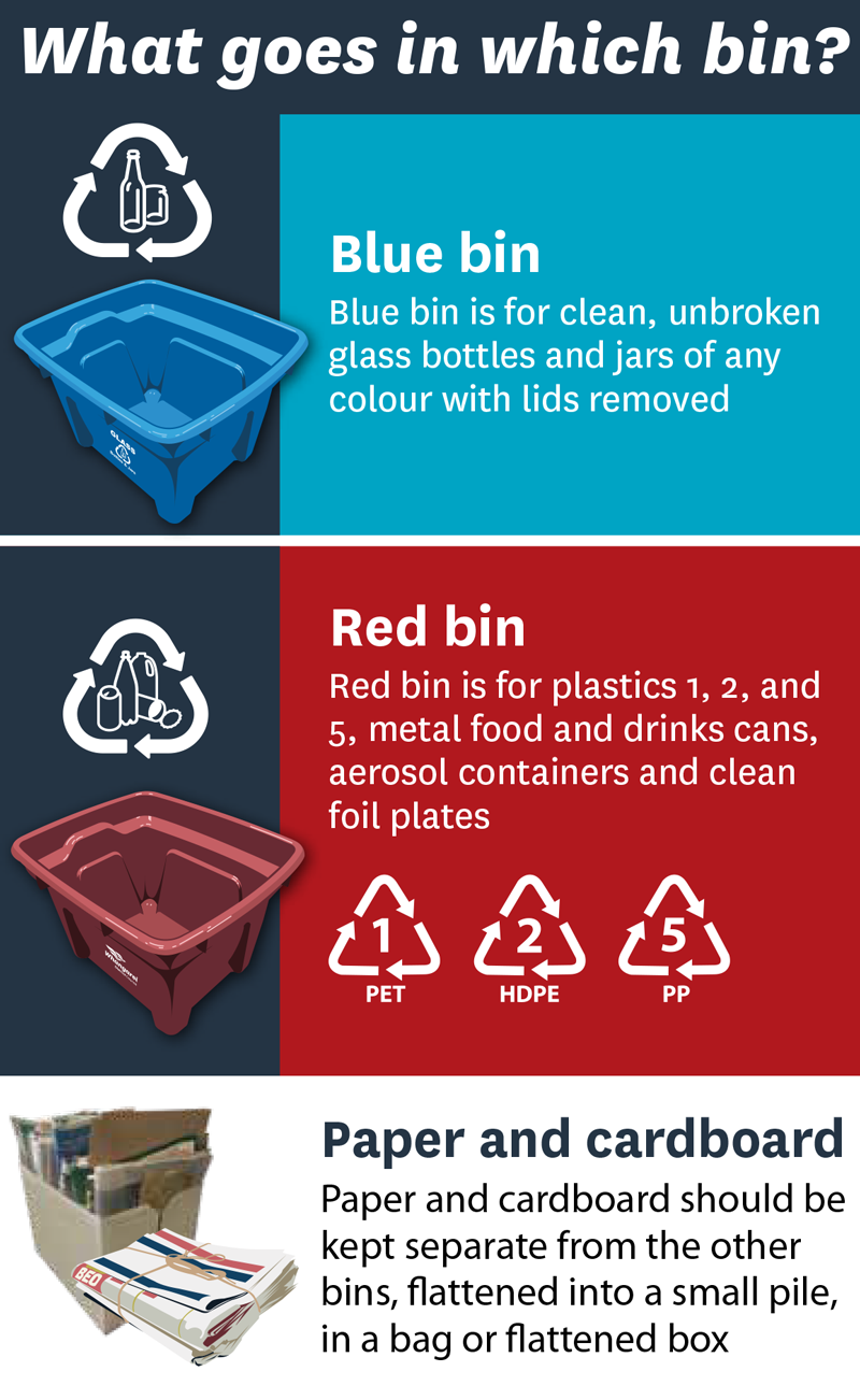 An image showing information about what goes in which bin and about paper and cardboard. Information is provided below. 