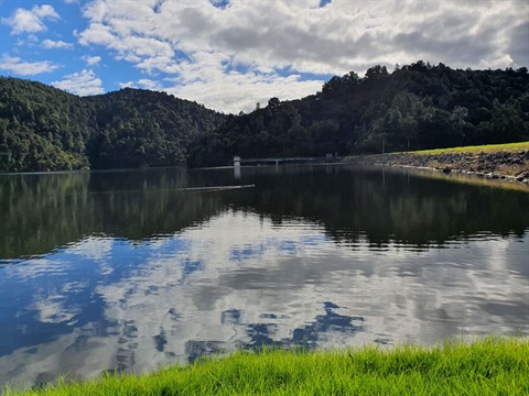 Image of Whau Valley dam. 
