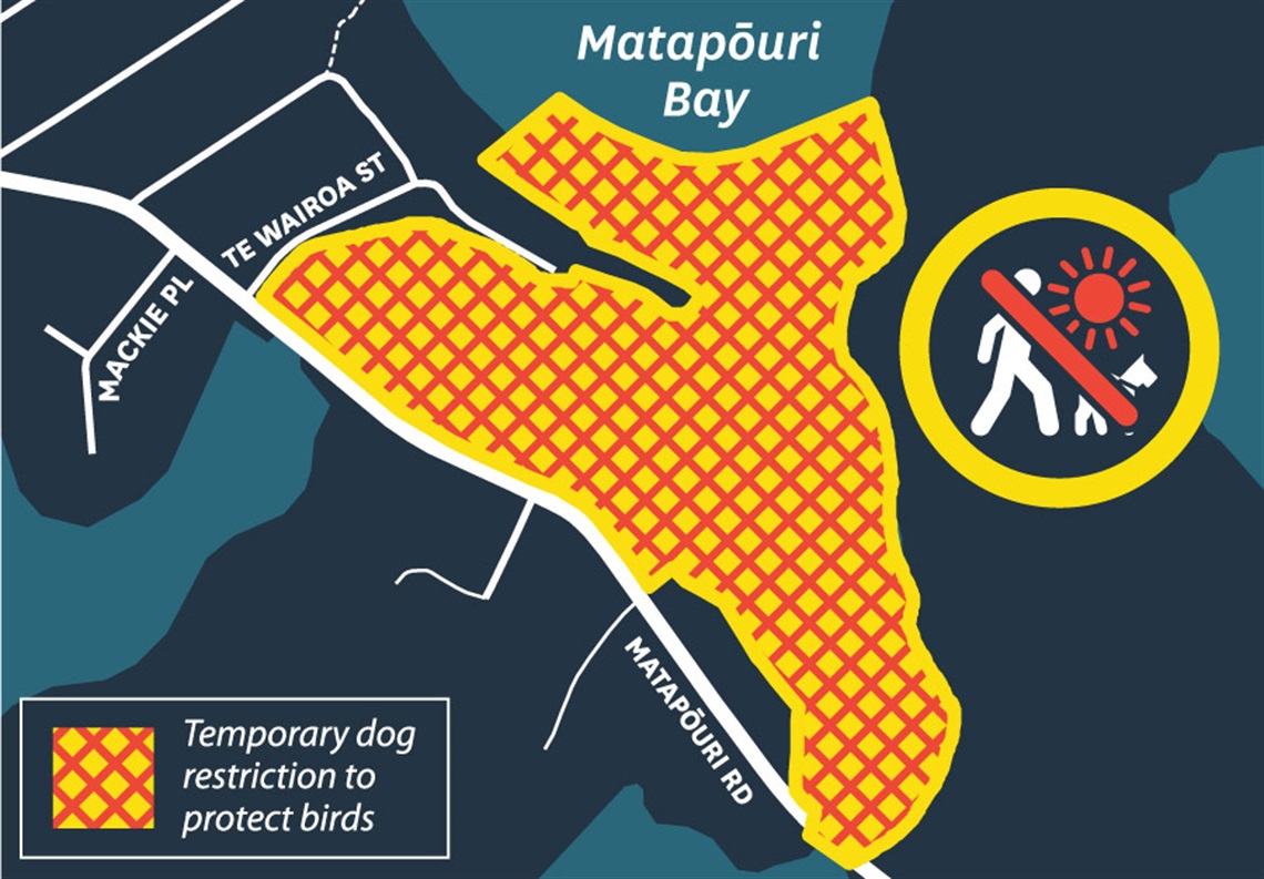Map showing temporary dog restriction to protect birds at Matapouri. 