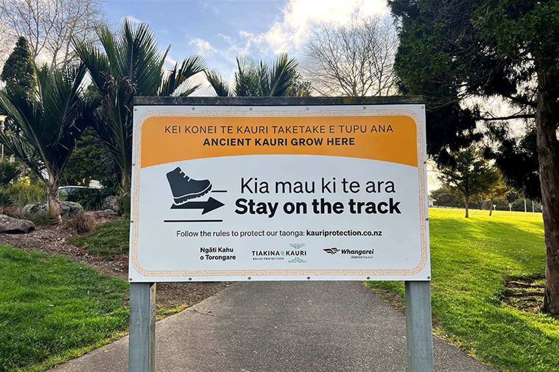 A sign in the park about kauri dieback. 