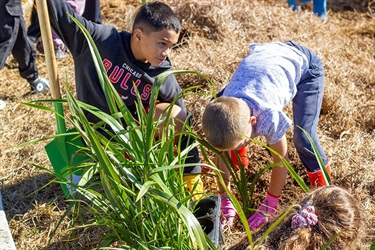 Two boys planting natives at a wetlands planting day. 