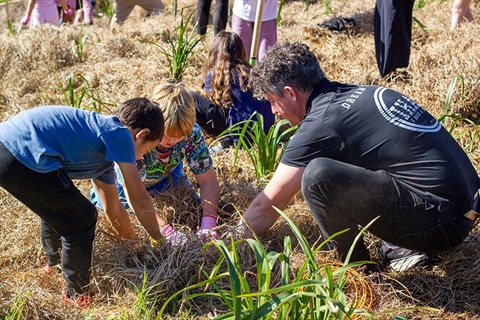 Two boys and a man planting natives at a wetlands planting day. 