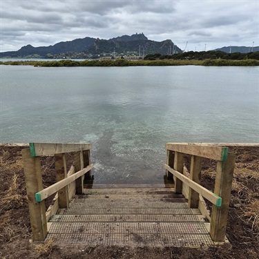Photo of Albany Road seawall.