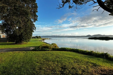 A grassy area by the waterfront, with large leafy trees on the left and overhanging branches framing the top. A narrow shoreline curves into the distance under a bright blue sky. 