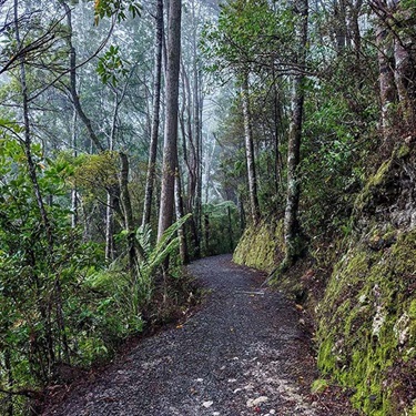 Drummond Track. 