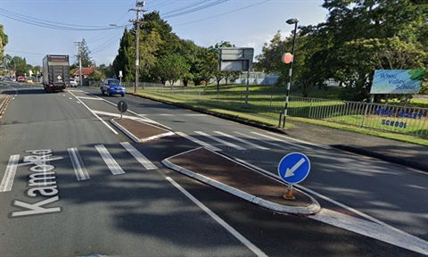 Photo of pedestrian crossing outside Whau Valley School on Kamo Road. 