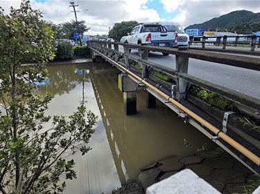 Photo of top and side of Reyburn Street bridge. 