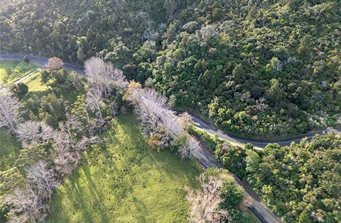 Aerial photo of the intersection of Whangarei Heads Road and Whangarei Heads School Road in Whangārei Heads. 