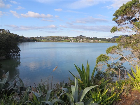 A photo looking out across Parua Bay on a sunny day. 