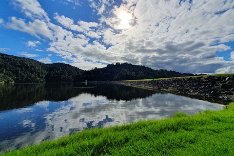 Whau Valley Dam with calm water reflecting clouds, surrounded by forested hills and bright green grass. 