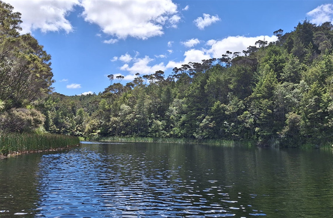 Takahiwai Dam, bordered by lush forest under a bright blue sky with scattered clouds. 