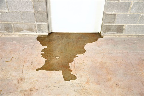 Photo of liquid leaking from under a door. 
