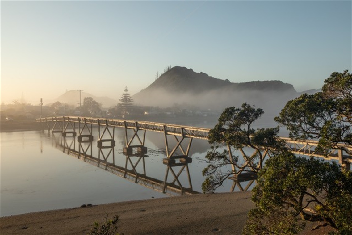 Pataua footbridge.jpg