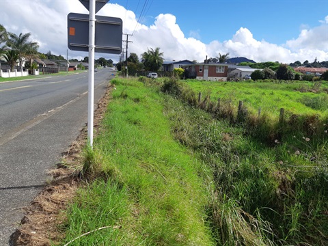 Image showing location of the new footpath to be constructed along Lake Drive. 