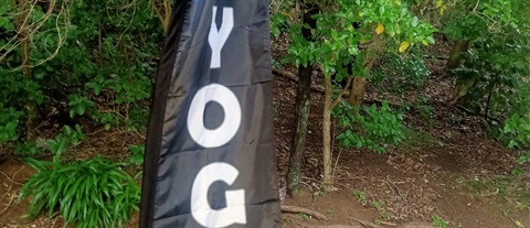 Thursday Morning Yoga with Rishi Iyer.jpg