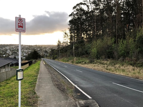 An image of High Street showing where the new footpath will be installed. 