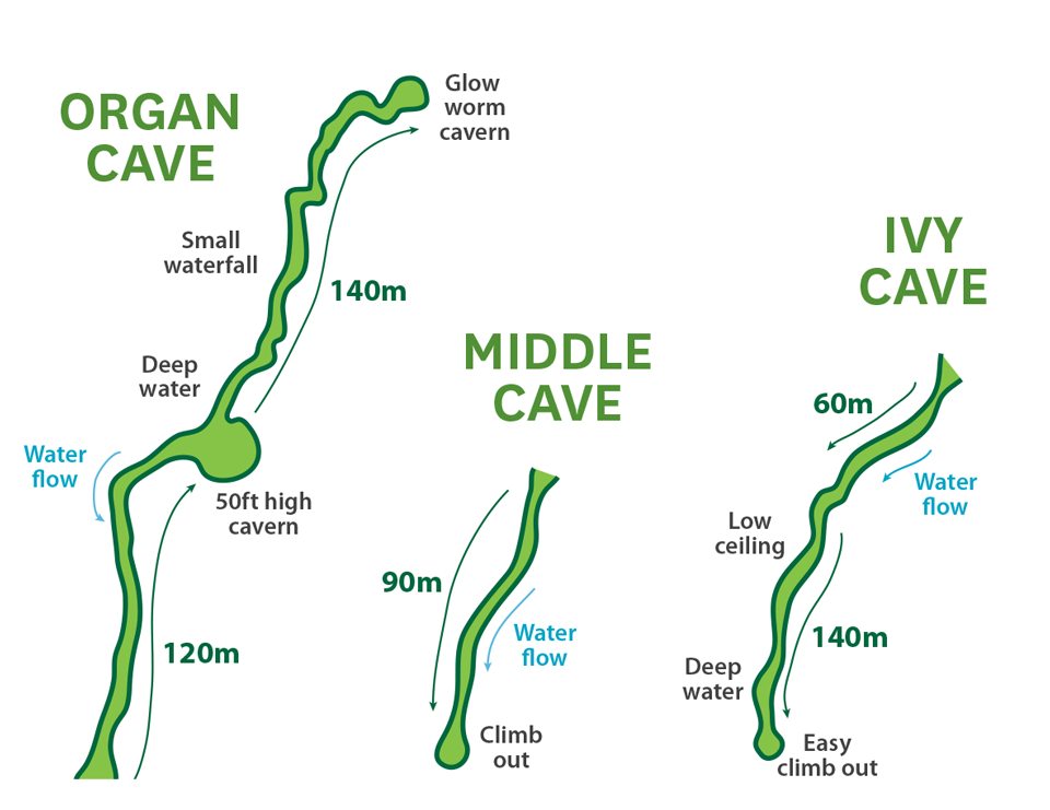 Diagram showing shape of three caves at Abbey Caves.