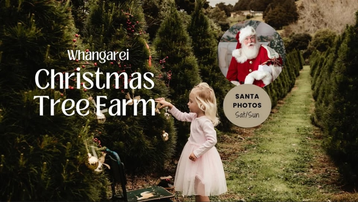 A child in a light pink dress reaches toward a decorated Christmas tree in a row of lush green trees at Whangarei Christmas Tree Farm. The scene includes festive ornaments and a rustic outdoor setting. Overlay text reads “Whangarei Christmas Tree Farm” and a circular inset shows Santa in a red suit with a sign that says “Santa Photos Sat/Sun.”