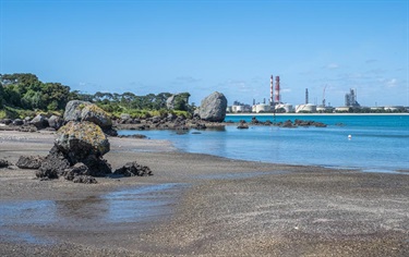 Marine views on the Reotahi Coastal walkway.