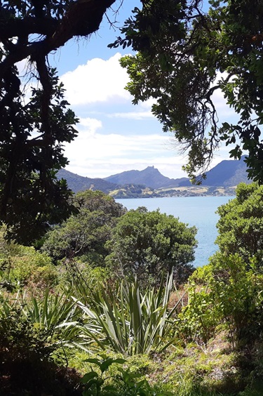 One of the bays on the Reotahi coastal walkway.