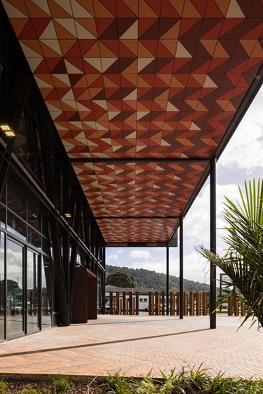 Patterns at the front of the Te Iwitahi building.