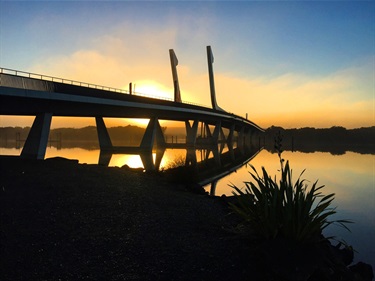 Te Matau ā Pohe bridge at night.