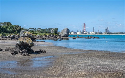 Photo showing marine views on the Reotahi Coastal Walkway. 