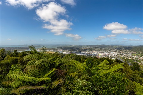The view of Whangarei from the top of Mt Parihaka showing native bush, houses and hills. 