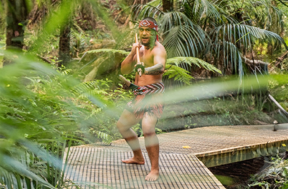 An image of a Māori person with a taiaha on a walking platform on the Waitangi Treaty Grounds. 