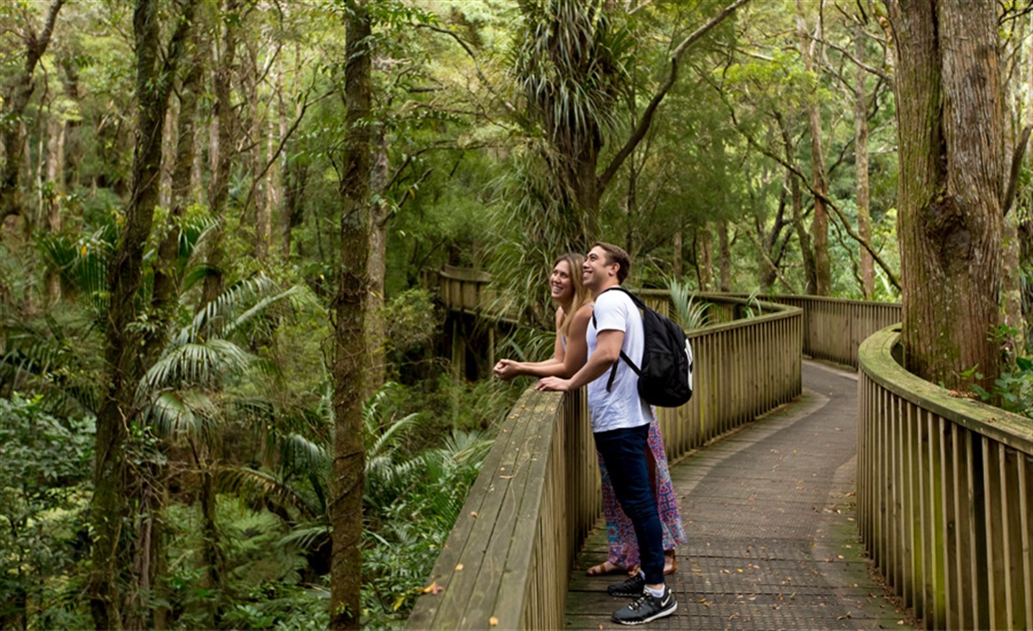 Photo of a man and woman on the wooden walkway at A H Reed Memorial Park with the forest in the background. 