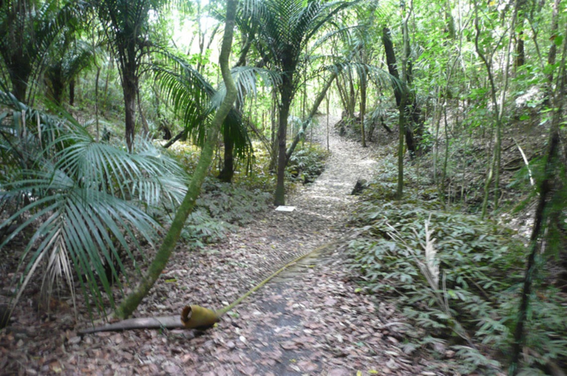 Coronation Scenic Reserve