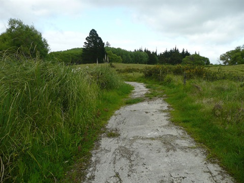 Photo showing an overgrown concrete path on the Portland Track walk. 