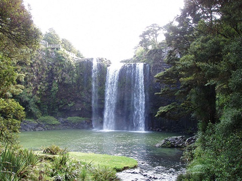 Otuihau Whangarei Falls