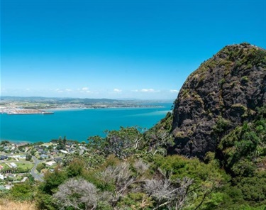 Looking towards the dome peak of Mount Aubrey, Reotahi and the harbour from the ridge line on Mount Aubrey.