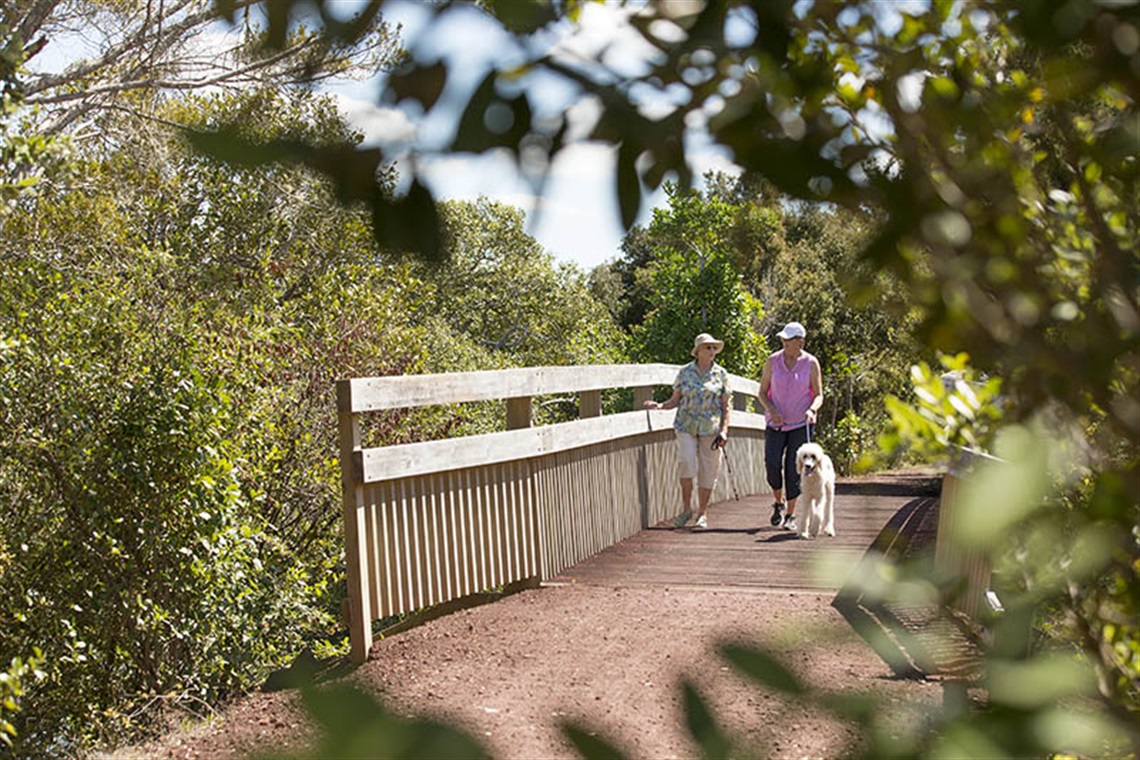 Two ladies walking a dog